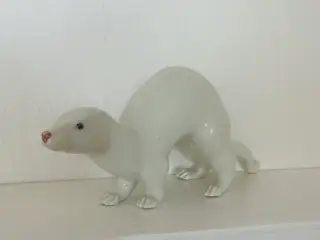 Hvid Hermelin