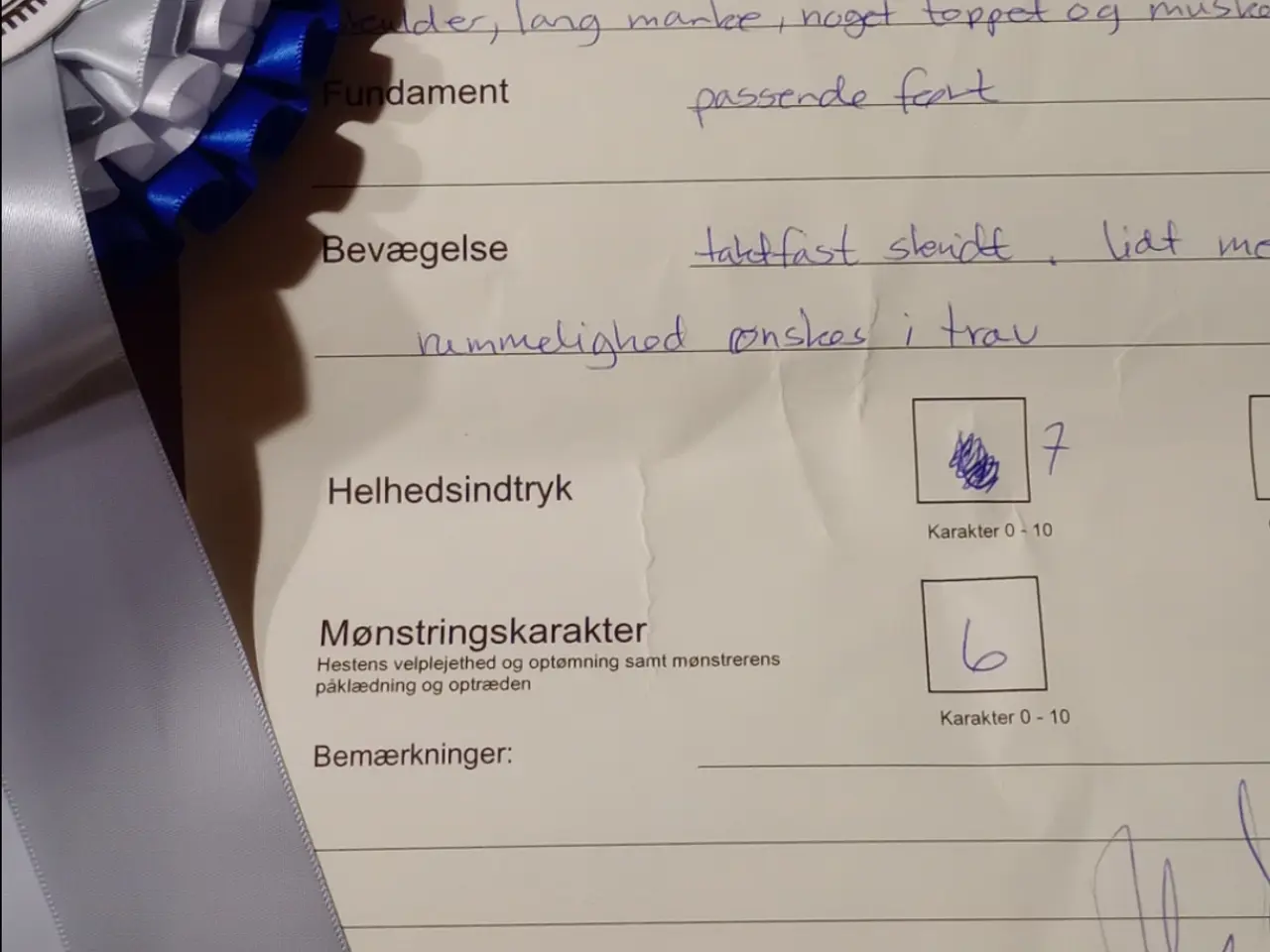 Billede 13 - Sød, avlskåret OX araber hoppe