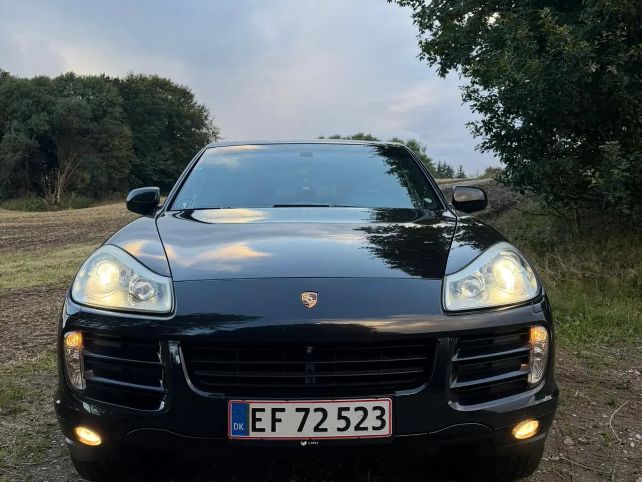 Billede 2 - Hvidpladet Cayenne