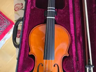 Violin 3/4
