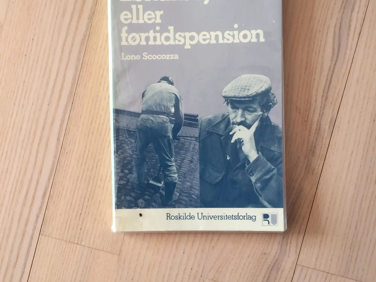 Billede 1 - Lønarbejde eller førtidspension