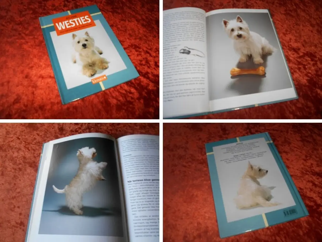 Billede 3 - West highland white terrier, Lillian Brown m.fl
