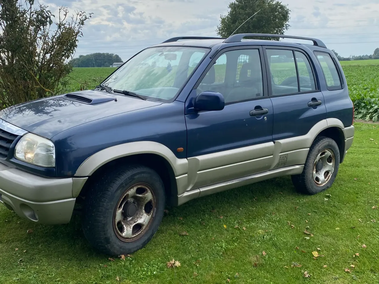Billede 2 - Suzuki Grand vitara