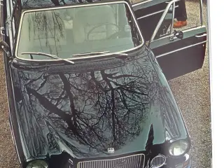 Volvo 164 dele købes