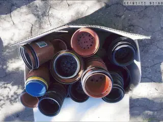 Bortgives. Plasturtepotter
