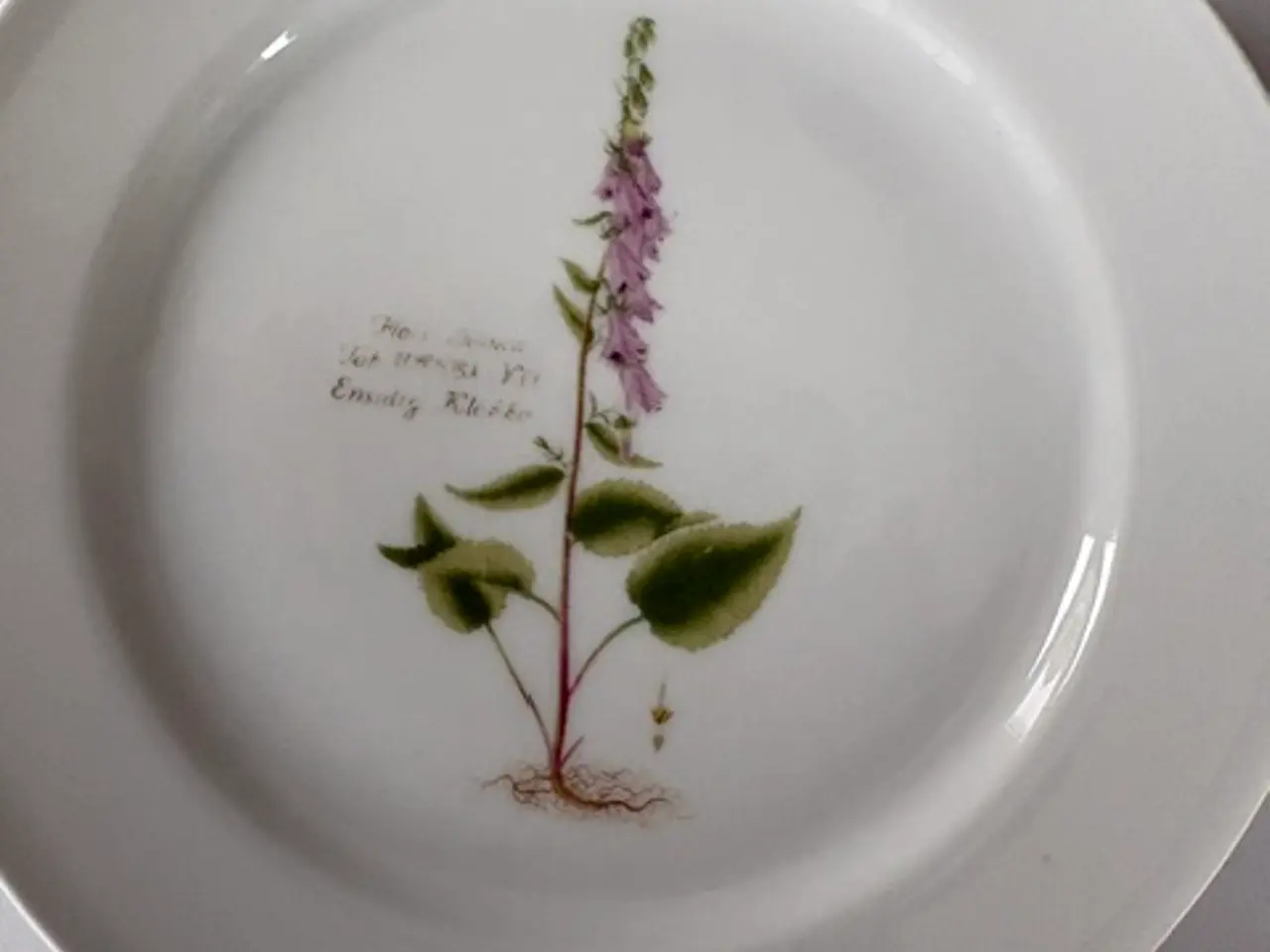 Billede 8 - 11 Flora Danica tallerkener med botaniske motiver