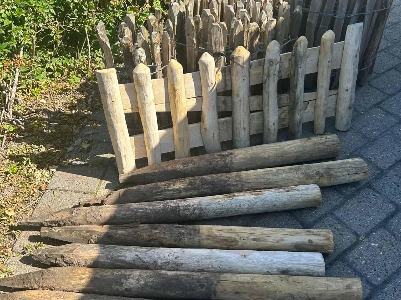 Billede 2 - Kastaniehegn højde 50 cm