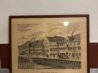 Bill fra det gl. Ålborg