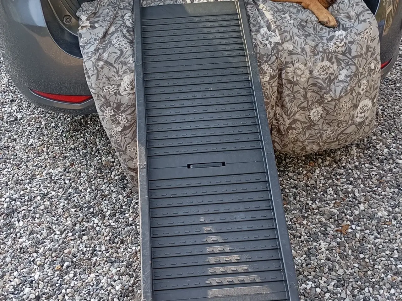 Billede 2 - Hunde rampe til bilen