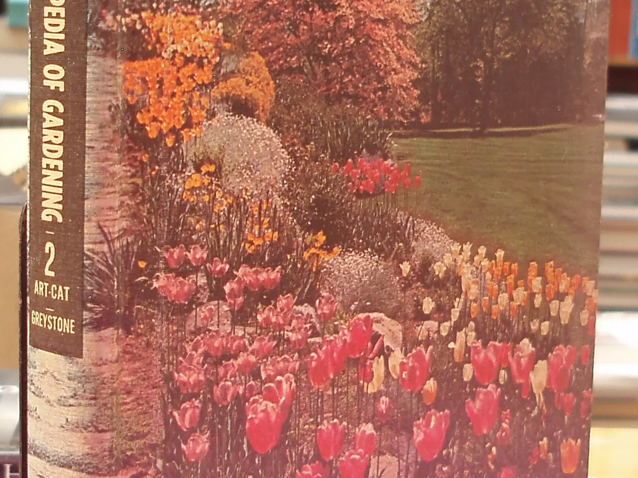 Billede 1 - New illustrated encyclopedia of Gardening 2