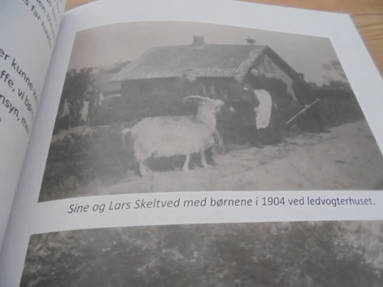 Billede 9 - Ledvogterhuse og ledvogtere – se fotos og omtale