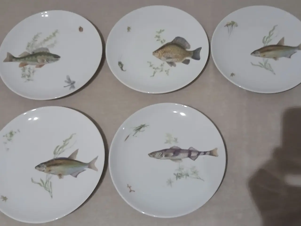 Billede 1 - Frokost Fiske tallerkener 