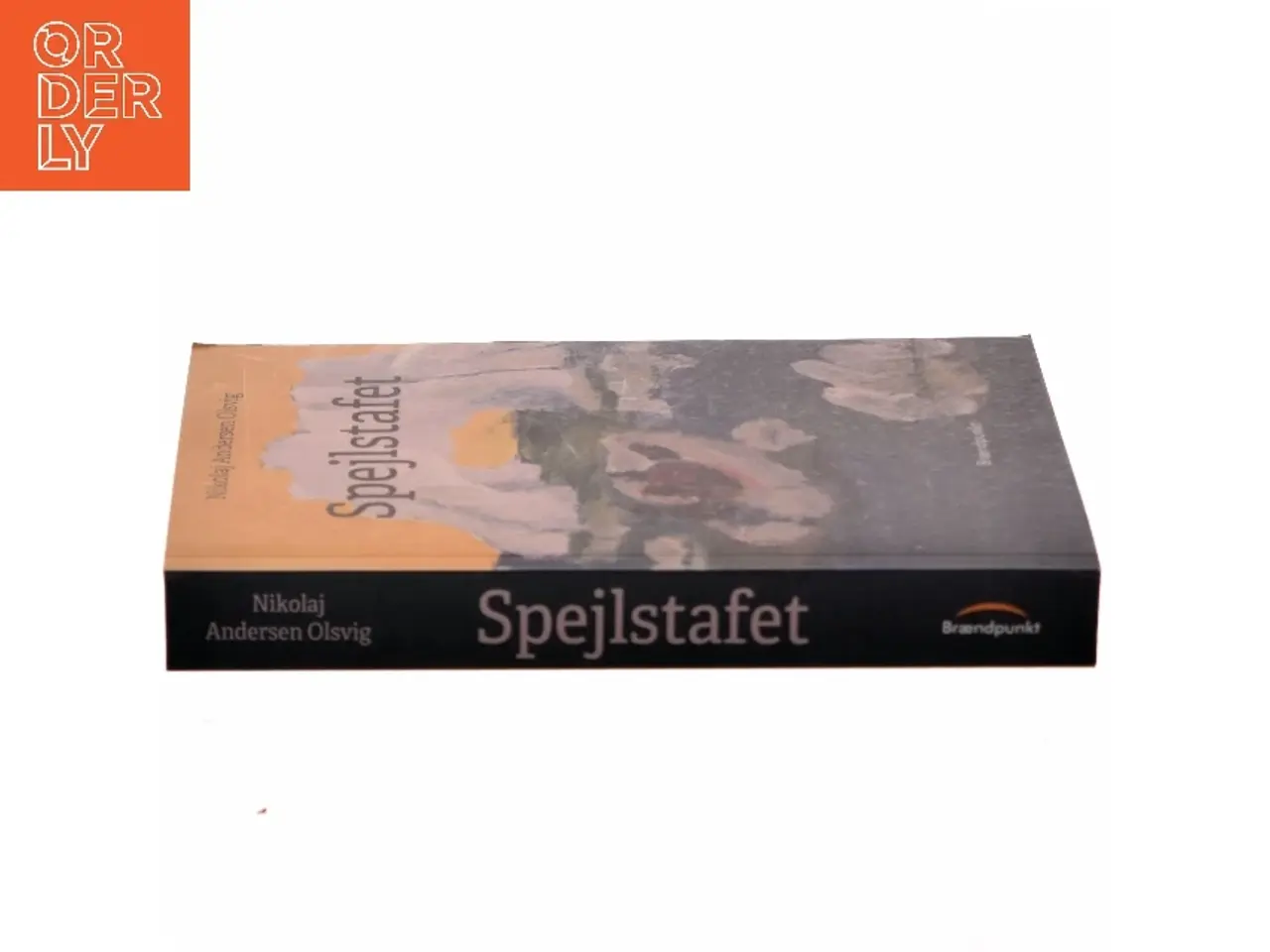 Billede 2 - Spejlstafet af Nikolaj Andersen Olsvig (f. 1967) (Bog)