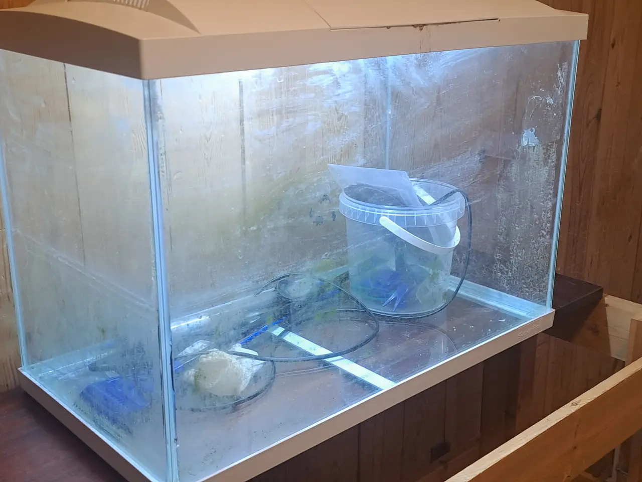 Billede 2 - superfish 70 L