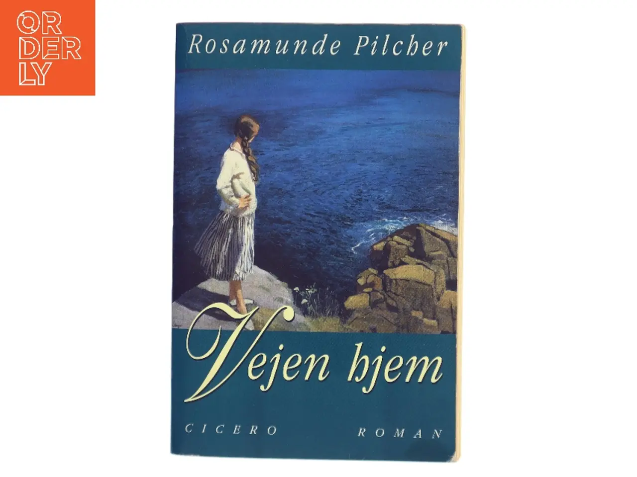 Billede 1 - Vejen hjem af Rosamunde Pilcher (Bog)