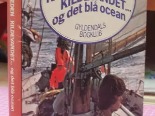Troels Kløvedal kærligheden Kildevandet og det blå