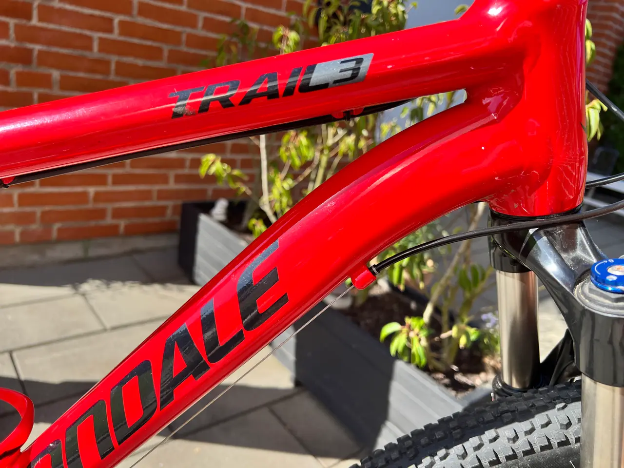 Billede 8 - MEGA flot rød Cannondale