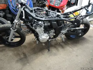 Suzuki GSF 650 Bandit