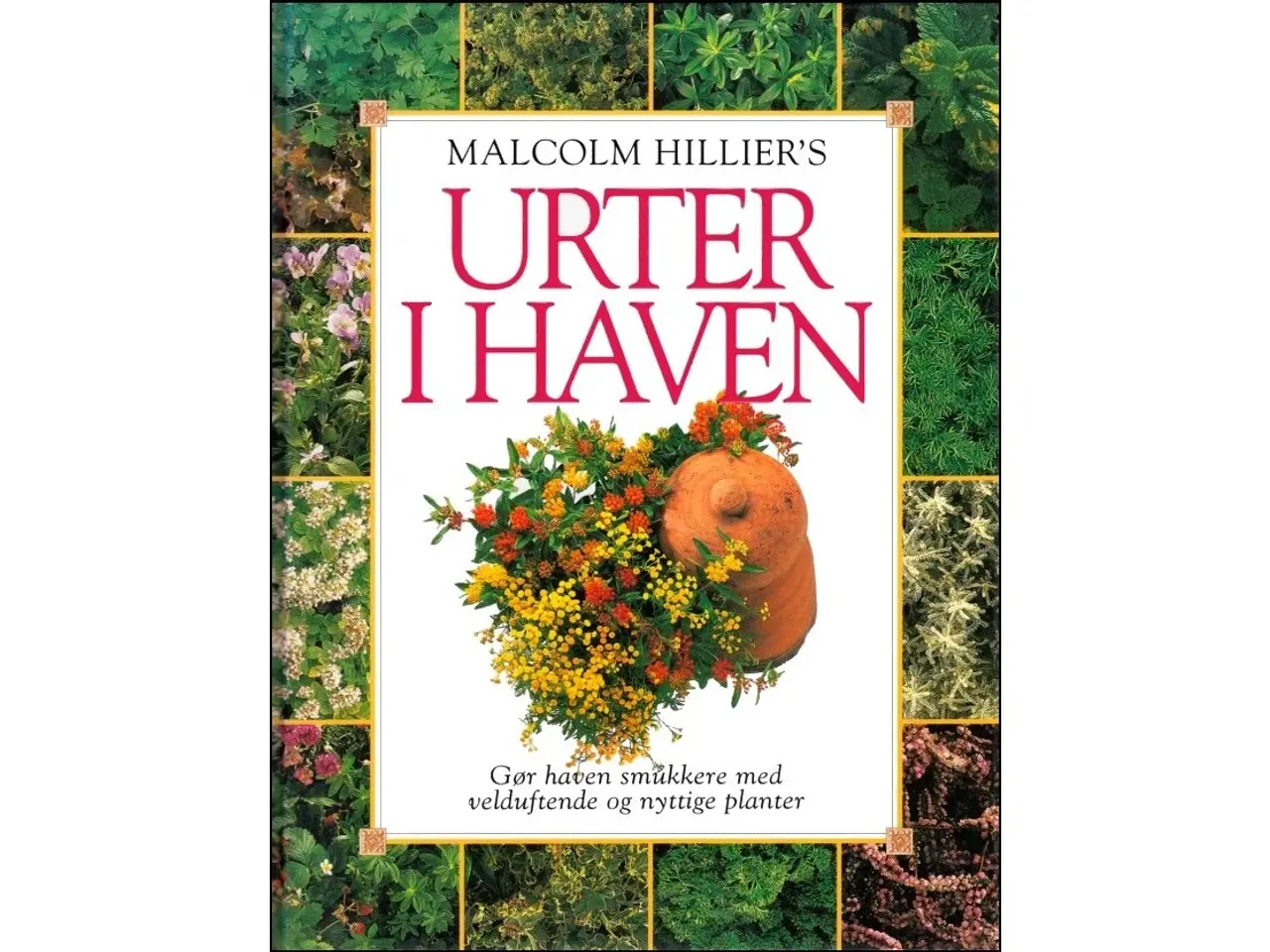 Billede 1 - Urter i Haven