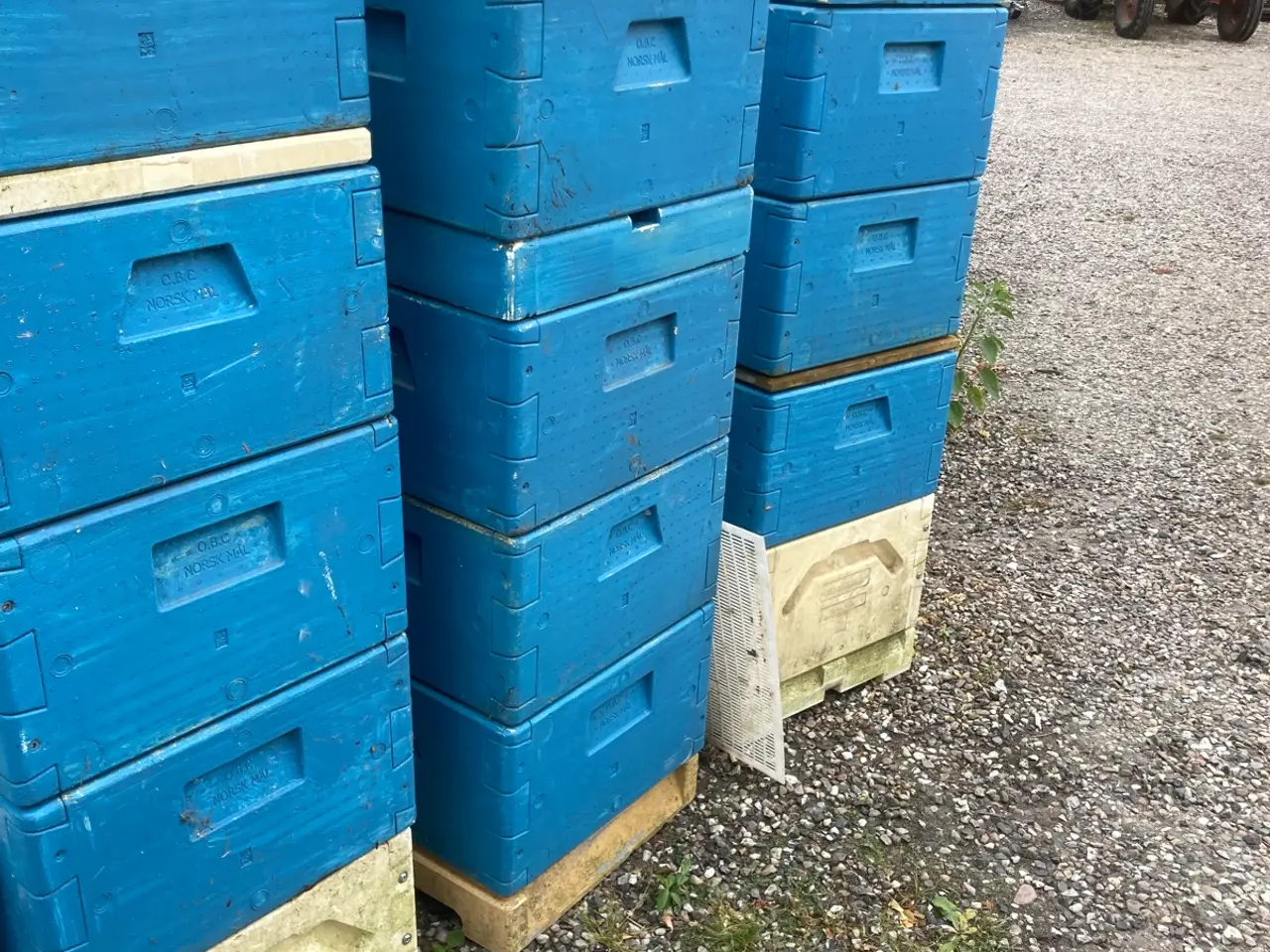 Billede 1 - Bistader i norsk mål