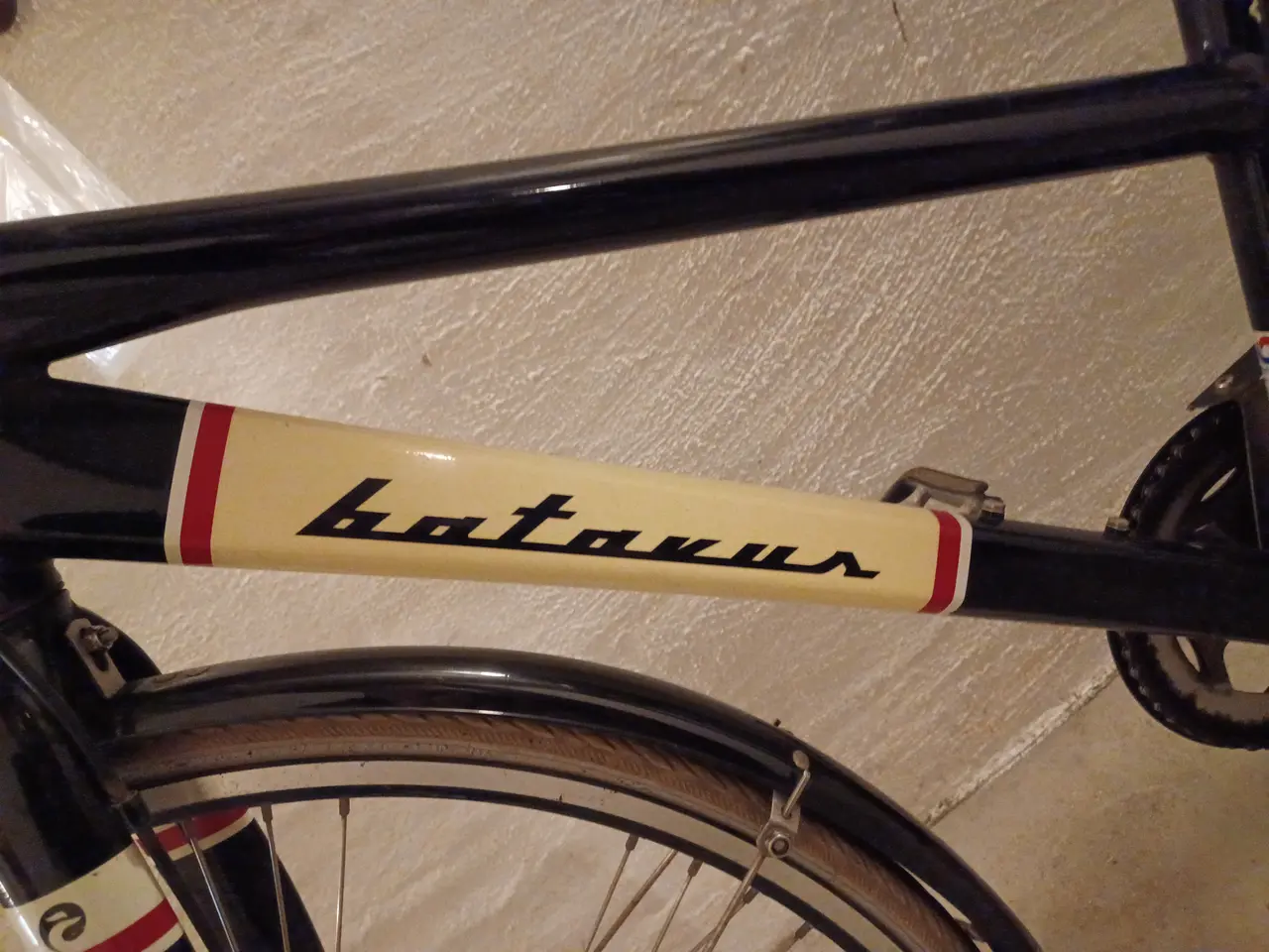 Billede 10 - Batavus dame/pige cykel