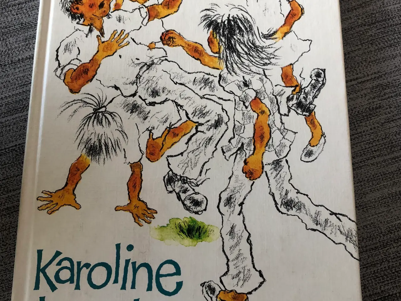 Billede 1 - Bog: Karolinebanden 