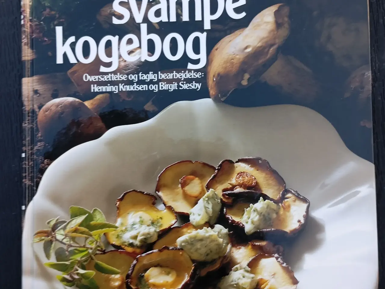 Billede 1 - Poiltikens Svampe Kogebog