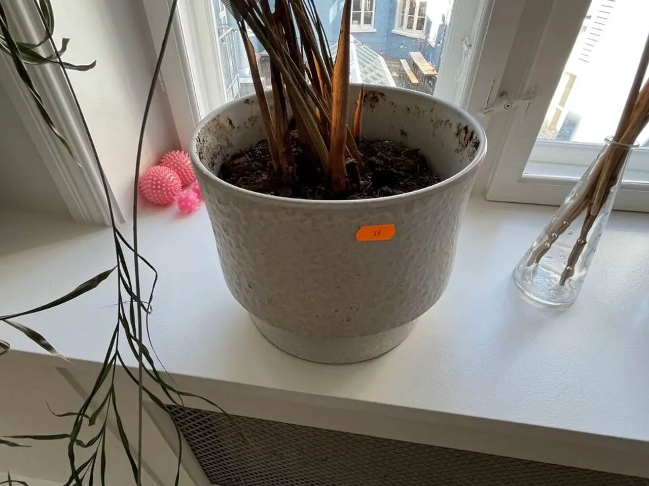 Billede 3 - Blomsterkrukker + Vaser  m. indhold