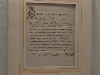 Indpodningsattest for kokopper fra 1819