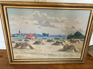 Maleri af Fåborg.