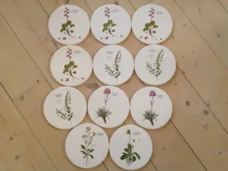 Flora Danica Platter