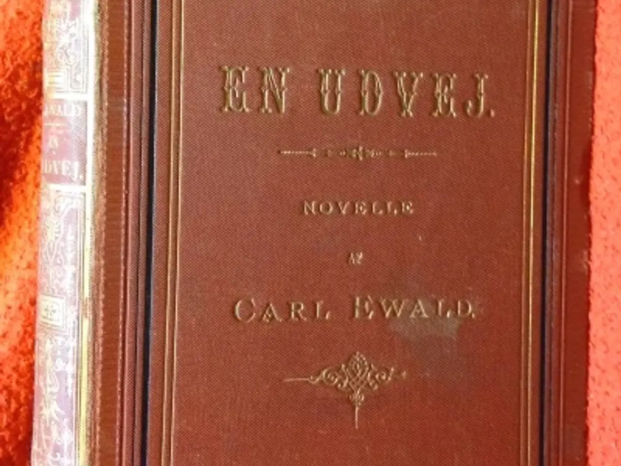 Billede 1 - Carl Ewald: En Udvej