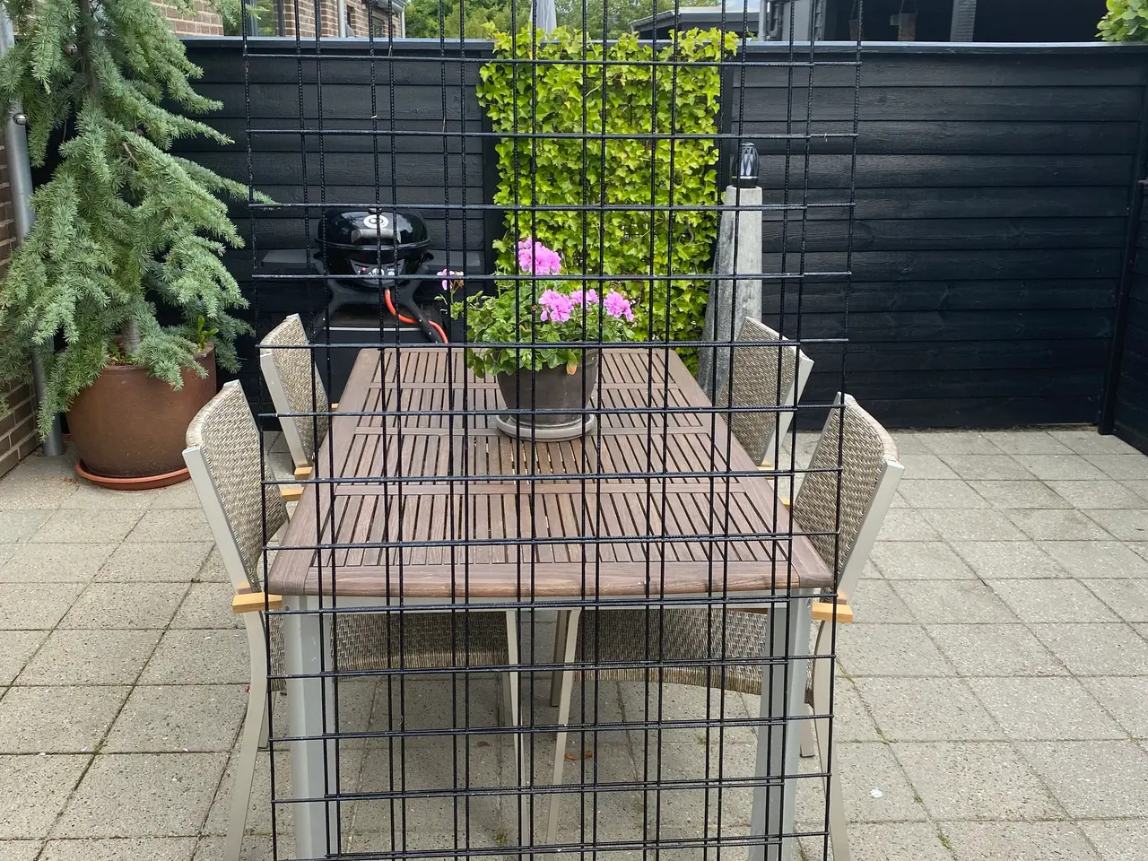 Billede 1 - 2 stk espalier med kant, sort. 80x170