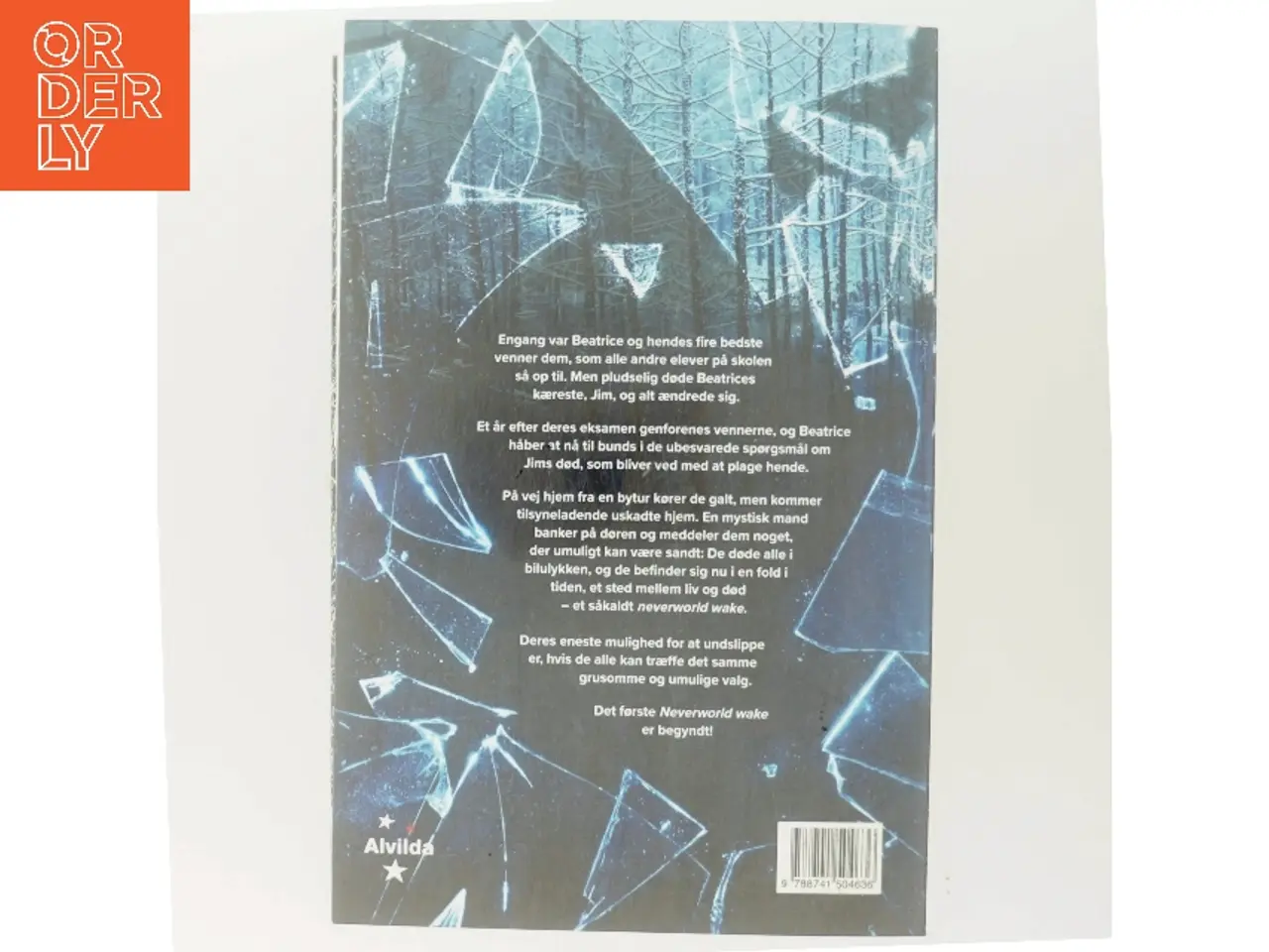 Billede 3 - Neverworld wake af Marisha Pessl (Bog)