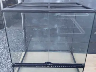 Terrarium
