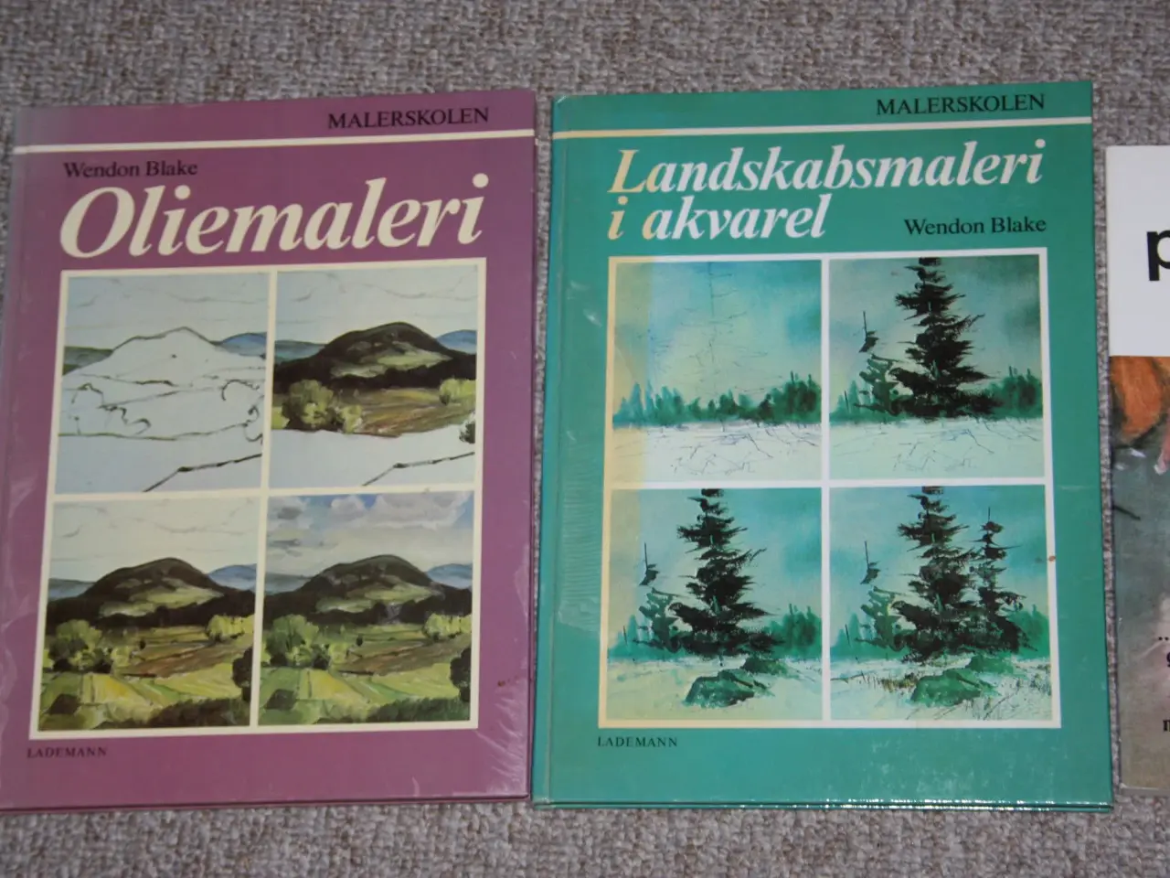 Billede 2 - Malerskolen - Landskabsmaleri i Akvarel af Wendon