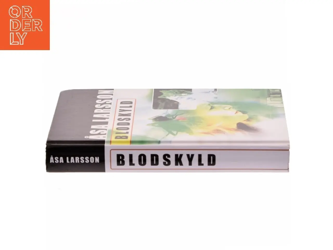 Billede 2 - Blodskyld af Åsa Larsson (Bog)