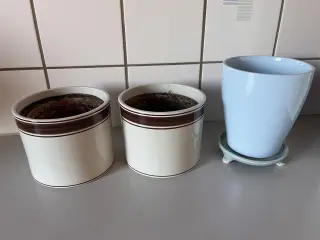 Urtepotteskjulere 10-13 cm indv. 