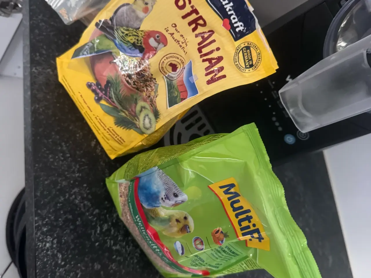 Billede 6 - Dværgpapegøje