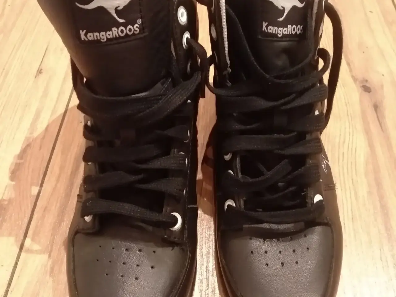Billede 1 - KANGAROOS, Str. 40.