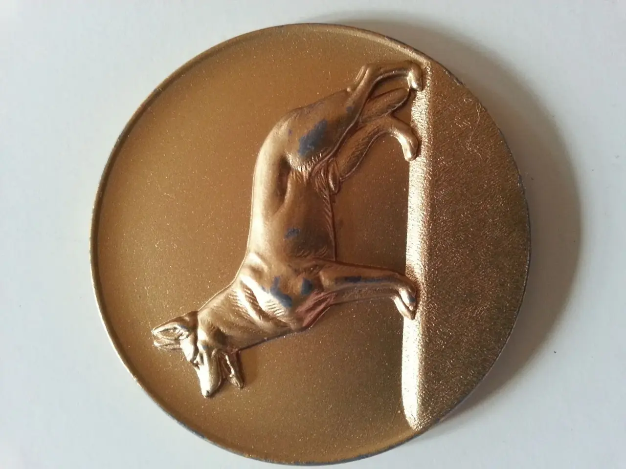 Billede 1 - Schæfer medalje.