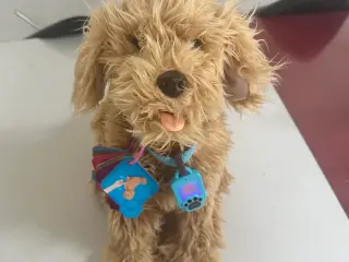 Moji hund, innovativt legetøj