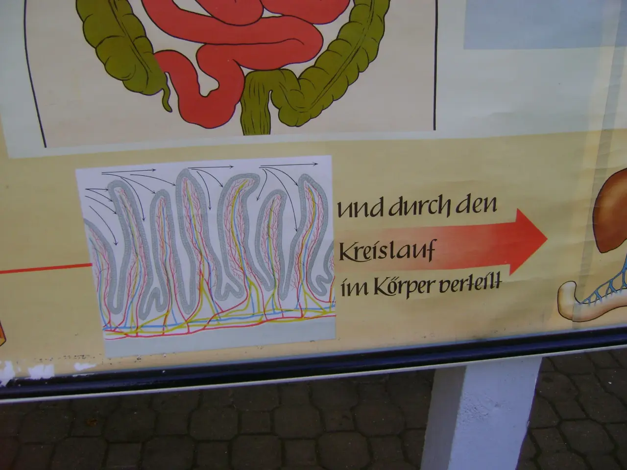 Billede 13 - Landkort 