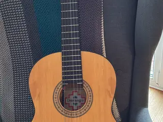 Durango guitar