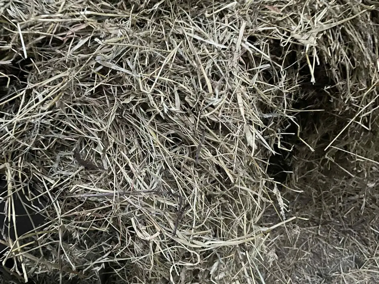 Billede 2 - 🌾💚 LÆKKERT WRAP-HØ TIL SALG – FRISKT, RENT