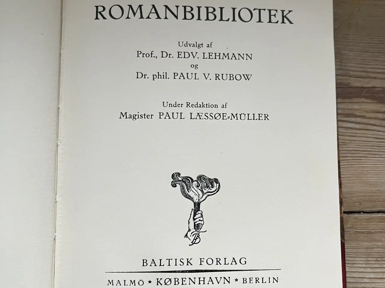 Billede 3 - En skuespillers eventyr 