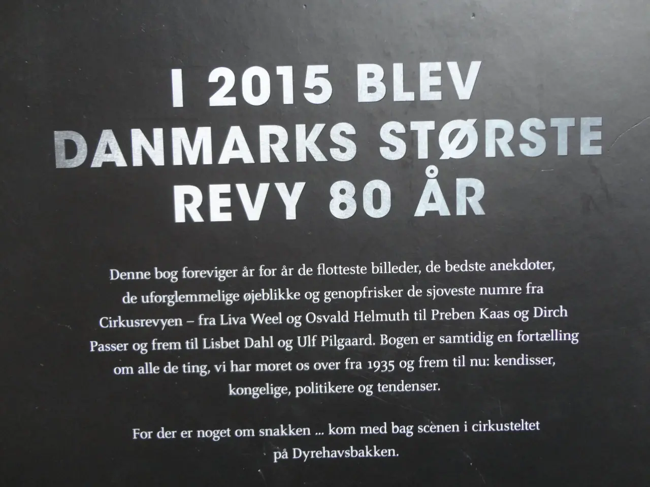 Billede 3 - Cirkus Revyen :