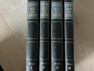 Borte med blæsten