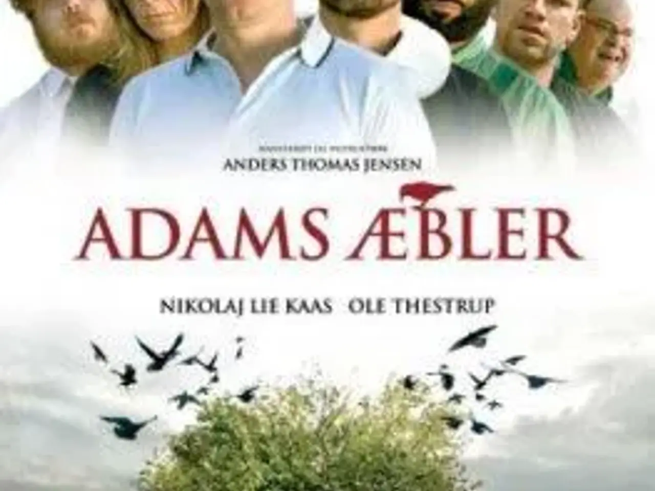 Billede 1 - Adams æbler ; NY !