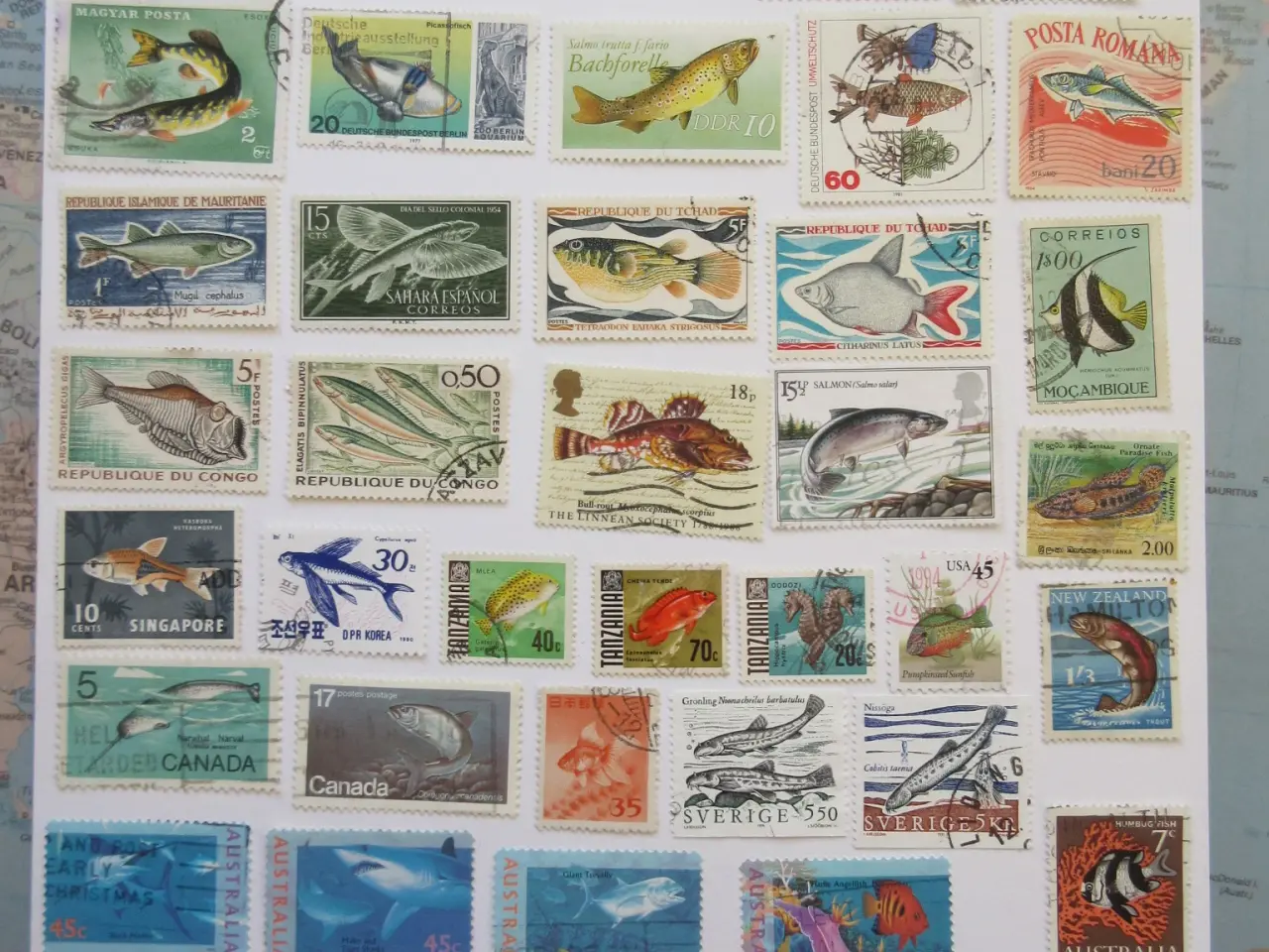Billede 1 - Over 100 flotte frimærker med Fisk